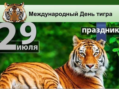 Детский мастер-класс для детей по рисованию восковыми мелками «Тигры —  знают все ребята — ходят в шубах полосатых» (20 фото). Воспитателям детских  садов, школьным учителям и педагогам - Маам.ру