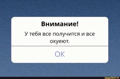 Шоколадный набор У тебя всё получится! (DA Chocolate) - купить с доставкой  по выгодным ценам в интернет-магазине OZON (352918045)