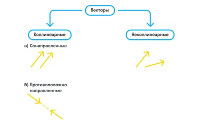 Что такое вектор, как найти длину? Координаты? Формулы