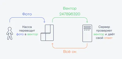 Наркотик Дилер Вектор Пиктограмма. Стиль - Это Плоский Графический Символ В  Черных, Серых, Синих, Зеленых Цветовых Вариантах. Предназначен Для  Веб-приложений И Мобильных Приложений. Клипарты, SVG, векторы, и Набор  Иллюстраций Без Оплаты Отчислений.