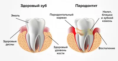 Что такое шрифты в кривых и шрифты в векторе - DynamicPrint.ru