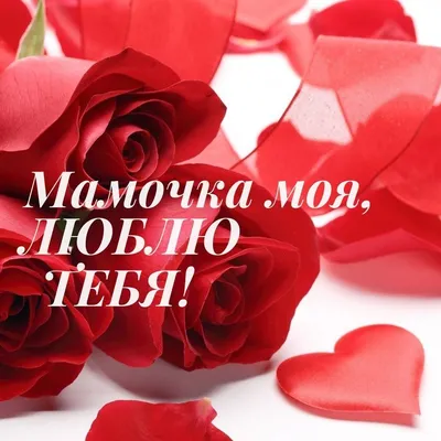С днем Валентина поздравления - как поздравить жену, мужа с днем влюбленных  - смс, валентинки | OBOZ.UA