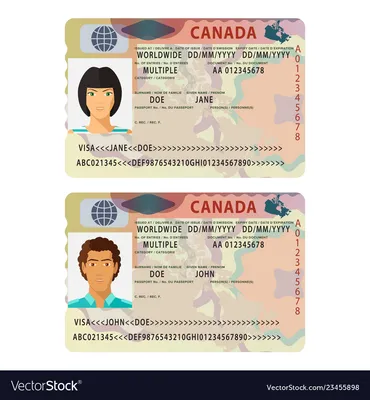 Canada international passport visa sticker Vector Image