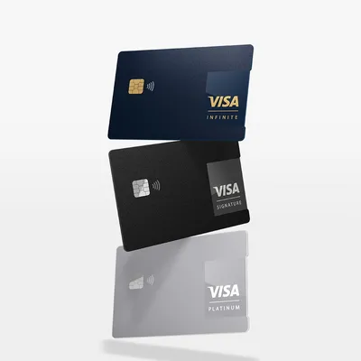 Visa, a trusted leader in digital payments.