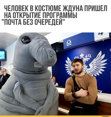 Вжух, и ты первый в очереди»: новый мем «Ждун» покорил соцсети — РТ на  русском