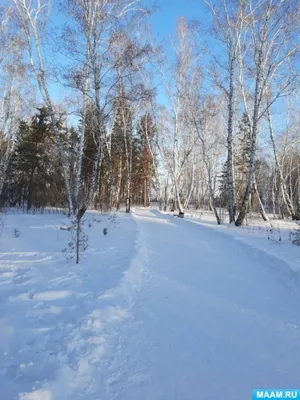 25.01.Чудеса зимней природы