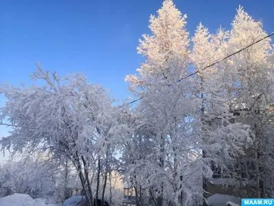 Фотография Красота зимней природы №42813 - «Зимняя сказка» (03.02.2024 -  04:13)