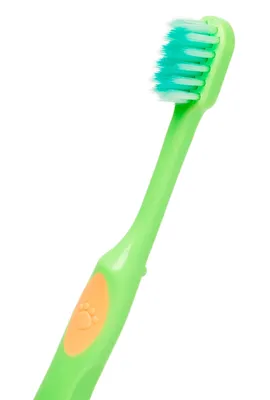 Зубные щётки для детей: основные требования