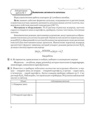 Ответы к пособию «Допризывная подготовка. 11 класс. Рабочая тетрадь»