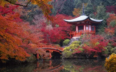Лучшие обои на рабочий стол Природа – Японский сад 4к (3840×2400)