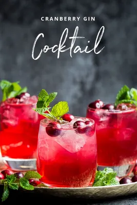 Cranberry Gin Cocktail - Healthy Green Kitchen