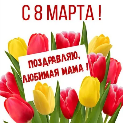 Поздравляем с 8 марта! - 4 Марта 2016 - Официальный сайт МАОУ СОШ №2 п.  Новоорск