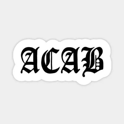 All Cats Are Beautiful ACAB Lisa Frank Sticker — Lost Objects, Found  Treasures