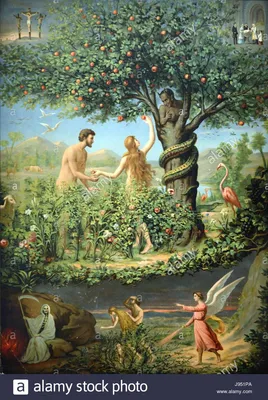 Adam and Eve | Isabella Stewart Gardner Museum