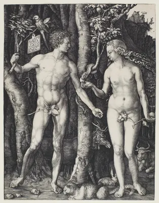 Adam and Eve, Albrecht Dürer | Mia