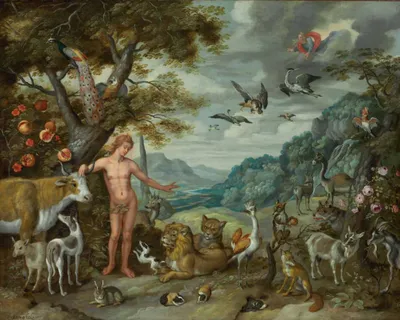 Jacob Bouttats | Adam and Eve in the Paradise Garden, Surrounded by  Animals. | MutualArt