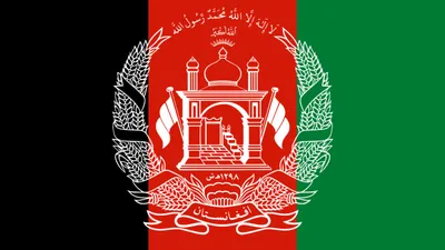 НПО прекращают деятельность в Афганистане | Euronews