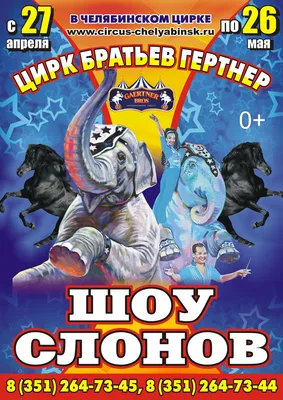 Цирк \"Адреналин\". Программа \"Хищник\" в Хабаровске 29 июля 2018 в  Хабаровский цирк