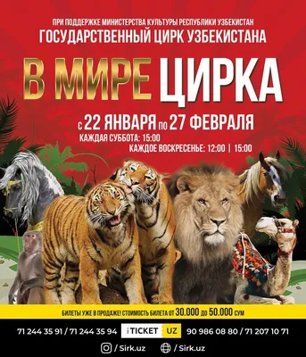 Столичный цирк зажигает огни - Система онлайн-покупки билетов в кино и на  концерты Ticketon.kz