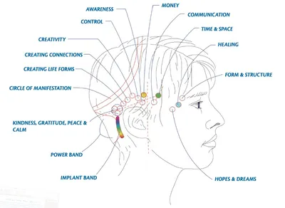 Access Consciousness: A New Version of Phrenology? | Science-Based Medicine