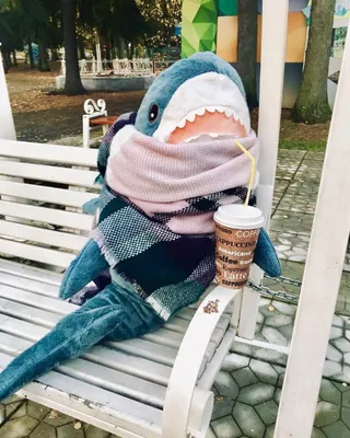 IKEA Released a Plush Shark And People Are Losing Their Minds Over It |  Shark toy, Shark plush, Cute shark