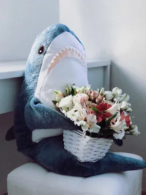 What kind of Ikea Shark is this, ive had it for more than a decade i know  that. : r/BLAHAJ