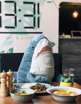 Welp I own an ikea shark now he is huge : r/sharks