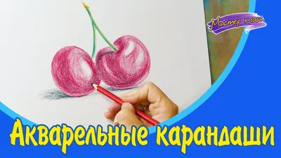 Райская птица цветными карандашами. Поэтапный урок рисования для взрослых и  детей. | Рисуем вместе | Дзен