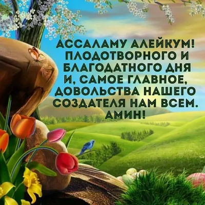 Ассалам алейкум Садыр Жапаров\". Мальчик попросил главу КР построить школу