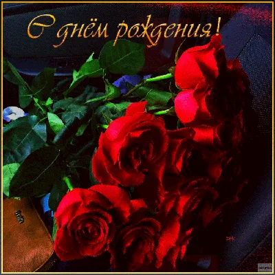 фотографии цветы, листья, ягоды в инее.. Обсуждение на LiveInternet -  Российский Сервис Онлайн-Дневников
