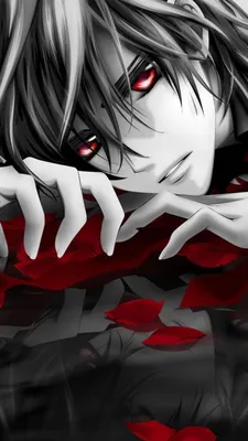 Пин от пользователя Pikahuong на доске Anime vampire male | Лунные хроники,  Вампиры, Аниме