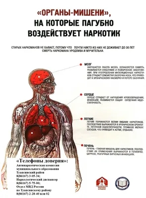 АНТИНАРКО — Официальный сайт МБОУ СОШ №32