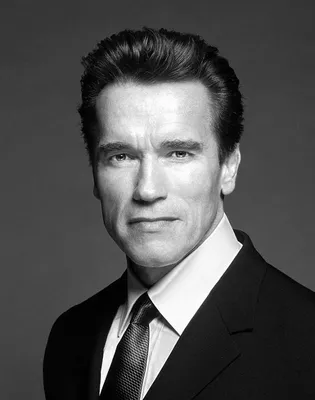 Арнольд Шварценеггер (Arnold Schwarzenegger) - актёр, режиссёр, продюсер -  биография - голливудские актёры - Кино-Театр.Ру