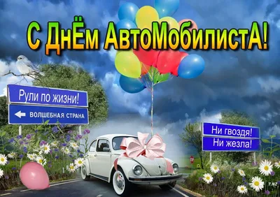 Автоледи 2019