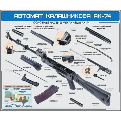 История и мастер-класс по сборке-разборке автомата Калашникова: 🗓  расписание, ₽ цены, купить 🎟 билеты онлайн