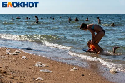 Штормит ли Азовское море в Крыму? | Лагуна, Курортное