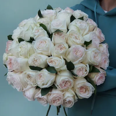 [81+] Картинки белые розы обои