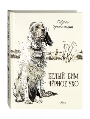 Смотреть «Белый Бим Черное ухо. Фильм 2» 3 сезон 6 серия в хорошем качестве  онлайн на сайте PREMIER.ONE