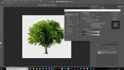 Как удалить фон с фотографии: инструкция по вырезанию фона с помощью  Photoshop и других программ