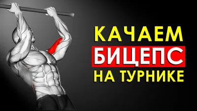 Тренажер «Бицепс/Трицепс сидя» для верхней части тела - KRAFT Fitness EXACT