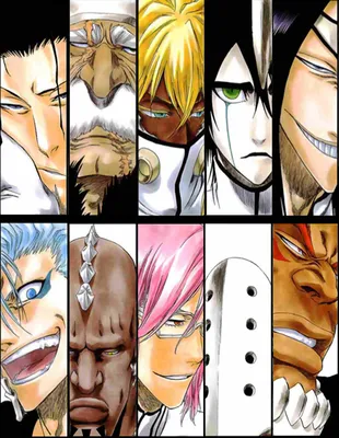 Espada | Bleach: Ultimate Alien Wiki | Fandom