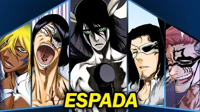 Bleach: 10 Best Espada Costume Designs, Ranked