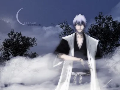 Обои на рабочий стол Ichigo Kurosaki / Ичиго Куросаки против Hichigo  Shirosaki / Хичиго Широсаки из аниме Блич / Bleach, обои для рабочего стола,  скачать обои, обои бесплатно