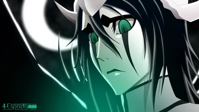 Обои Аниме Bleach, обои для рабочего стола, фотографии аниме, bleach Обои  для рабочего стола, скачать обои картинки заставки на рабочий стол.