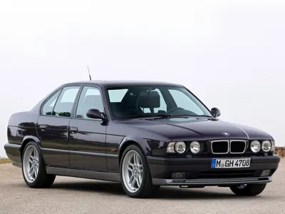 Крыло BMW 5 e34 1987-1996/БМВ 5 е34 переднее левое с отв. под повторитель  TYG (ID#91620208), купить на Deal.by