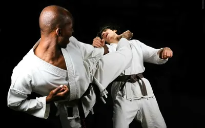 Бои каратэ – Karate.ru