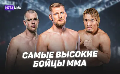 17 лучших бойцов UFC всех времен и народов | Сергей Карпов | Дзен