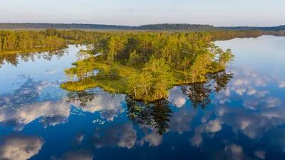 Самое большое БОЛОТО в мире (находится в России). Одно из наиболее  загадочных мест нашей необъятной | Пикабу