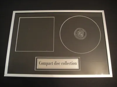 Поделки из компьютерных CD дисков (83 фото): легкие мастер-классы из  компьютерных CD дисков для детей, дома, дачи и сада