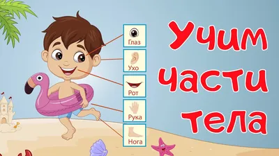 Резултат с изображение за „five senses flashcard printable“ | Body parts  for kids, Body part drawing, Body parts preschool